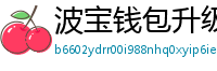 波宝钱包升级版本下载